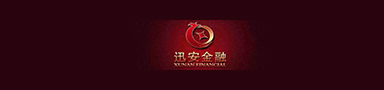 东莞市迅安投资咨询有限公司标志